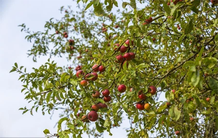 u9963365602279064323fm193fGIF u9963365602279064323fm193fGIF