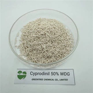 Cyprodinil 50% Wdg כימיקלים חקלאיים קוטל פטריות